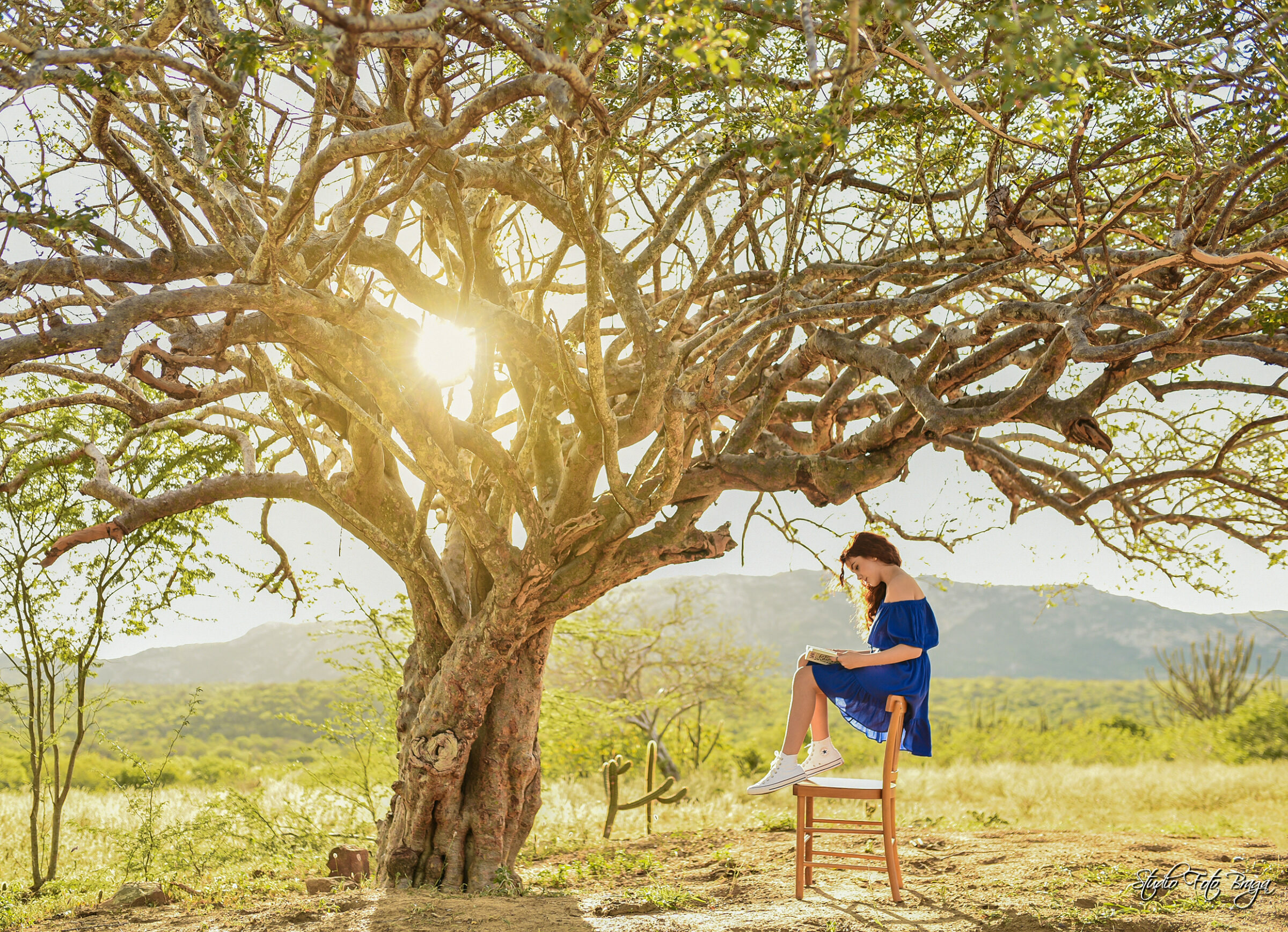 Foto de Studio Foto Braga 1